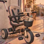 Meilleure tricycle evolutif : tricycle 3 roues évolutif avec harnais